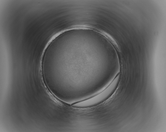 X0000113631192200909181510