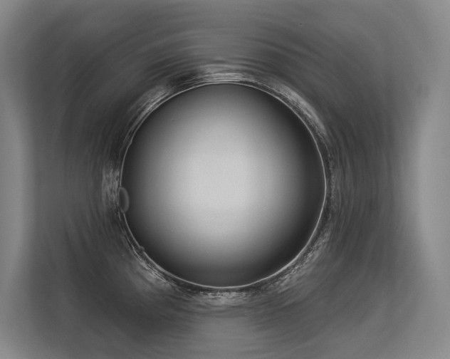 X0000113631193200909181510