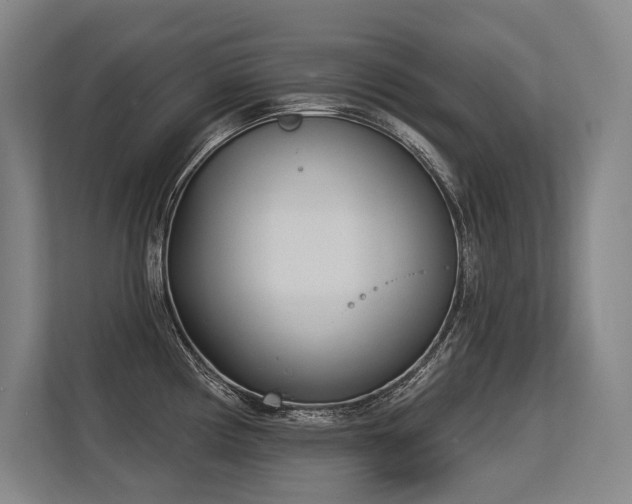 X0000113631194200909181510