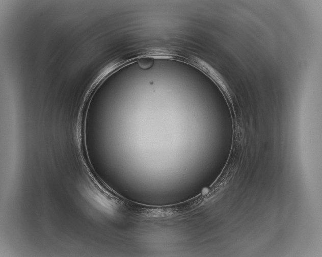 X0000113631195200909181510