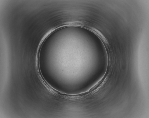 X0000113631196200909181510