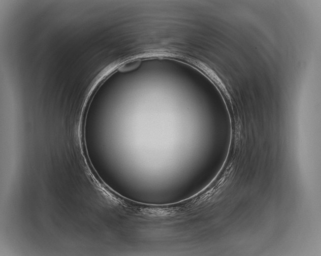 X0000113631197200909181510