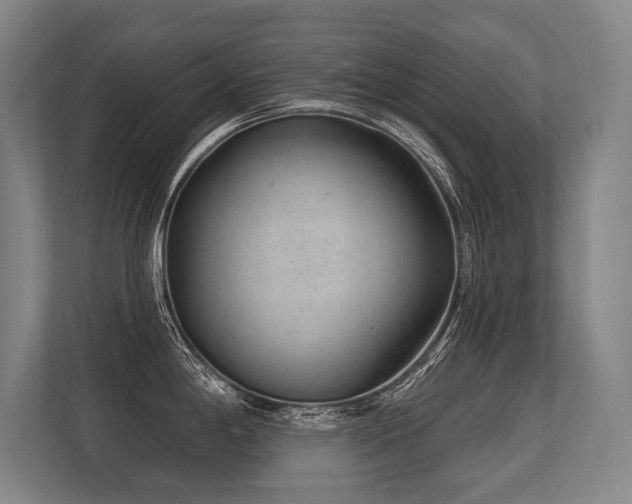 X0000113631198200909181510