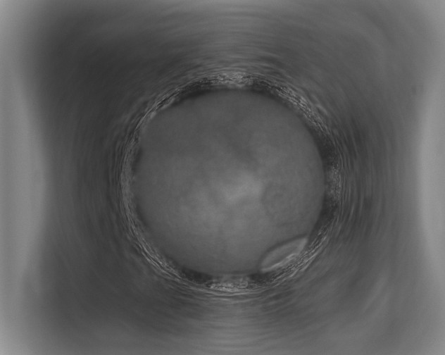 X0000113631201200909181510