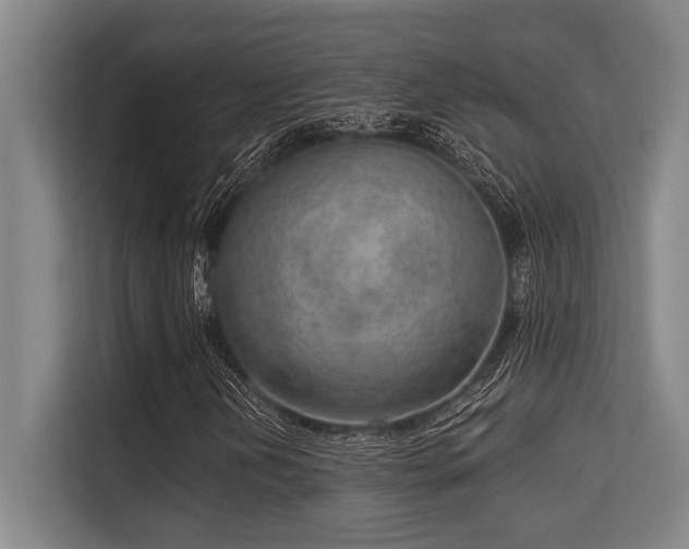 X0000113631202200909181510