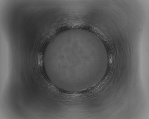 X0000113631204200909181510