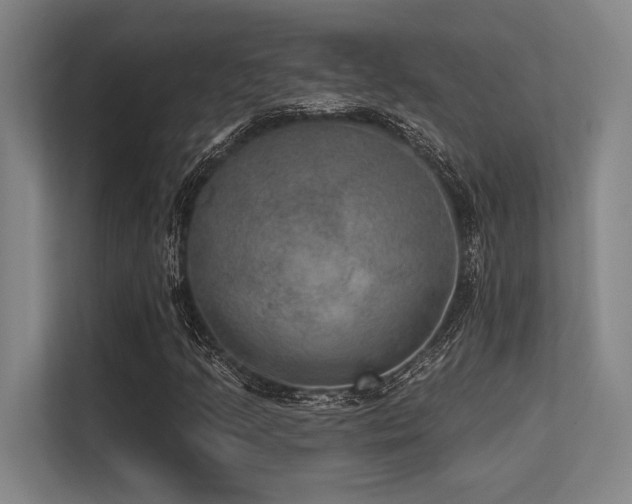 X0000113631205200909181510