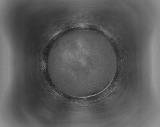 X0000113631206200909181510