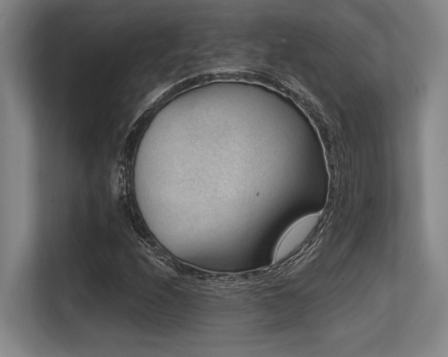 X0000113631208200909181510