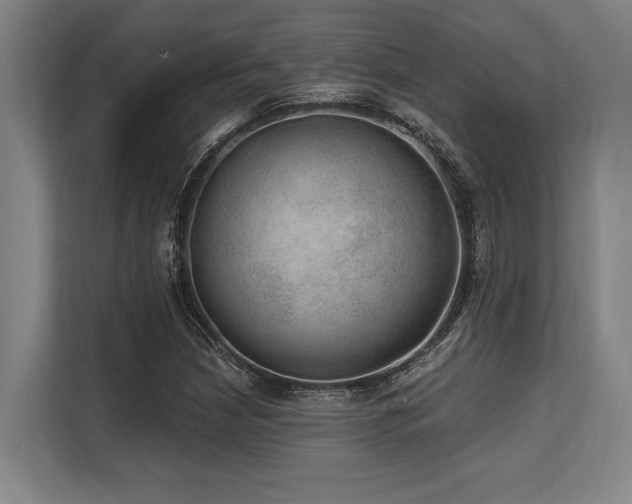X0000113631210200909181510