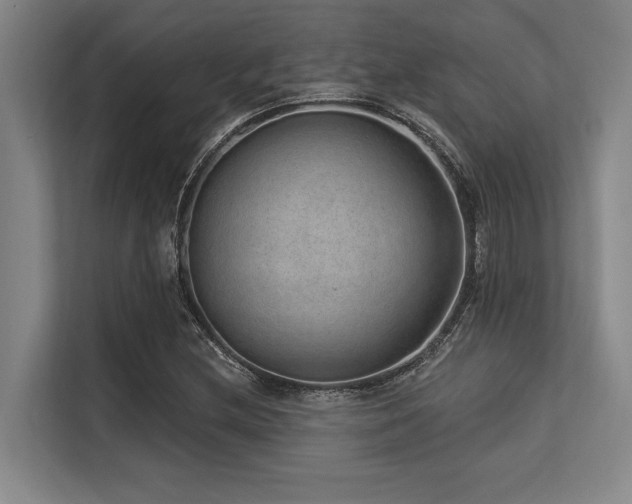 X0000113631212200909181510