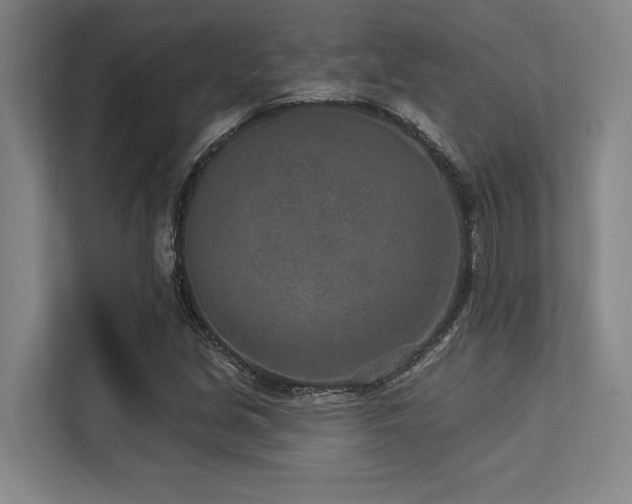 X0000113631213200909181510