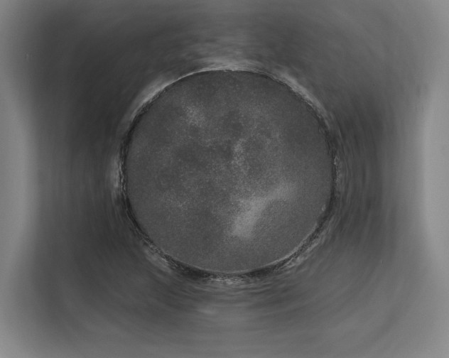 X0000113631215200909181510