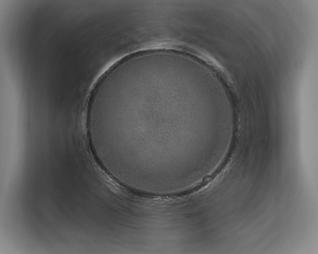 X0000113631216200909181510
