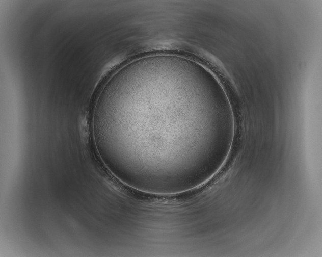 X0000113631218200909181510
