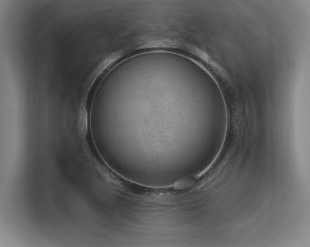 X0000113631221200909181510