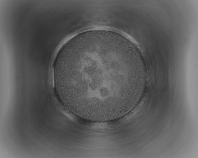 X0000113631223200909181510