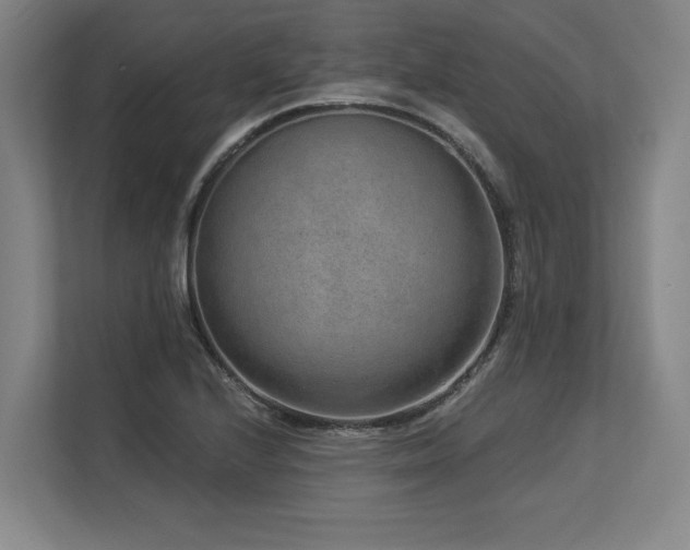 X0000113631224200909181510