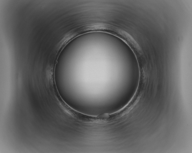 X0000113631225200909181510