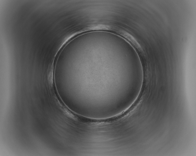 X0000113631228200909181510