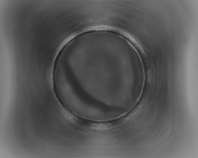 X0000113631229200909181510