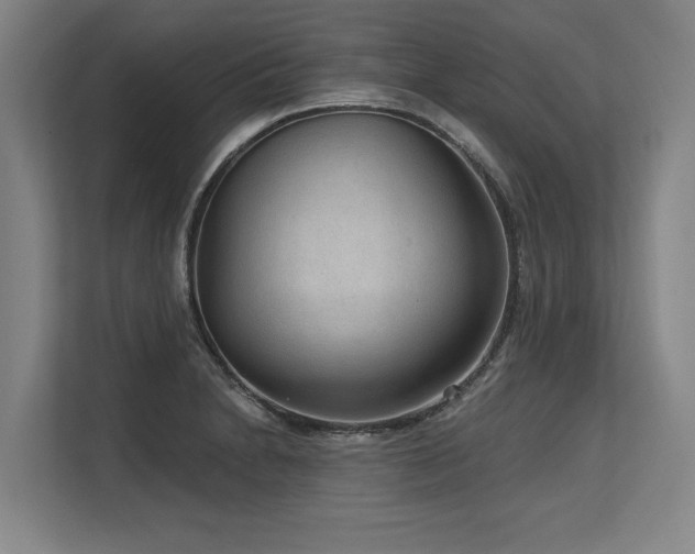 X0000113631230200909181510