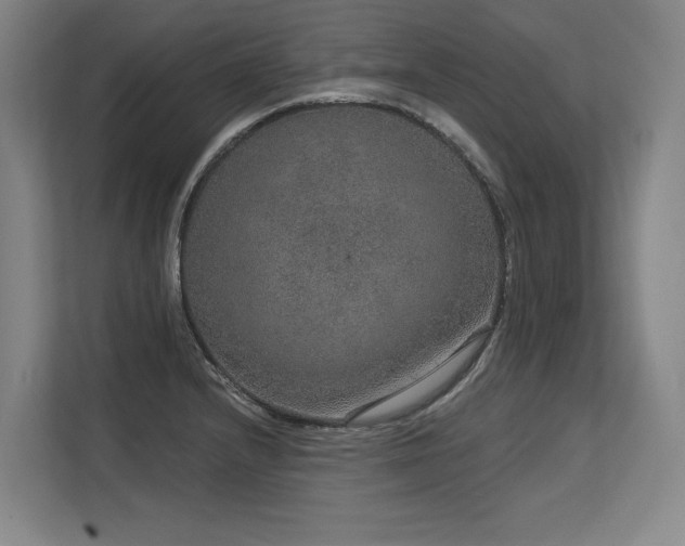 X0000113631232200909181510