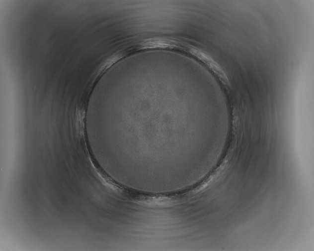 X0000113631233200909181510