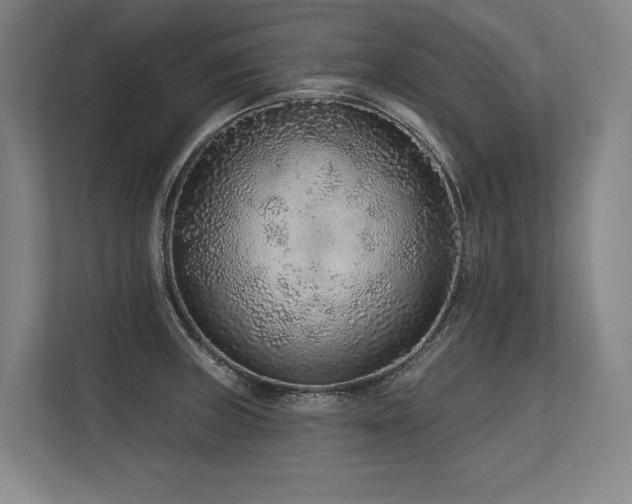 X0000113631235200909181510