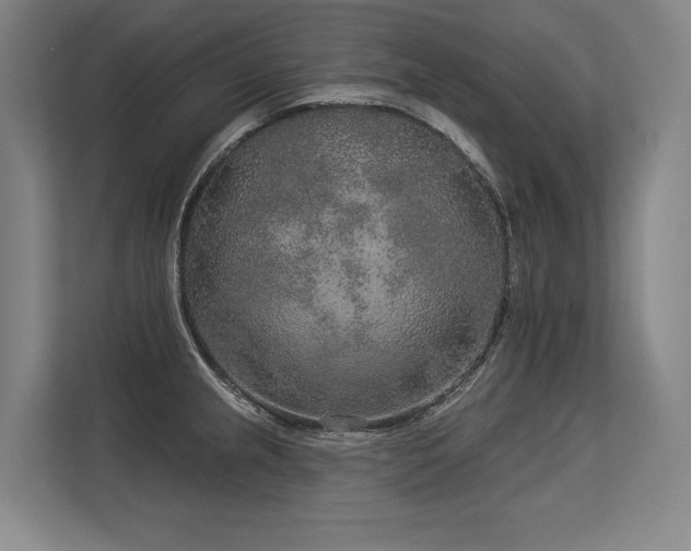 X0000113631237200909181510