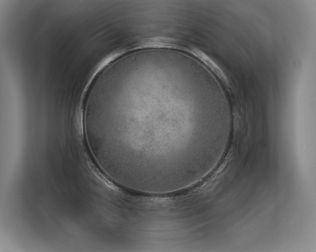 X0000113631238200909181510