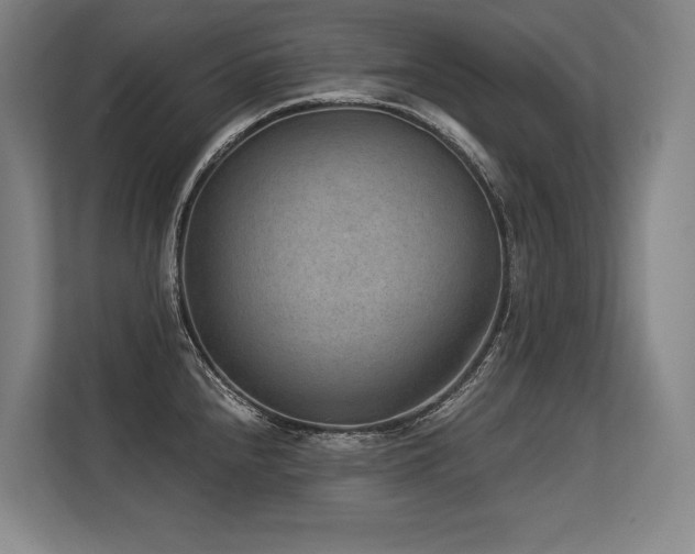 X0000113631240200909181510