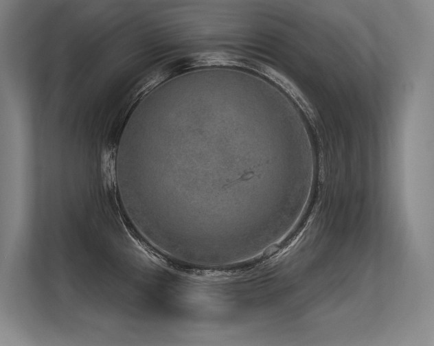 X0000113631241200909181510