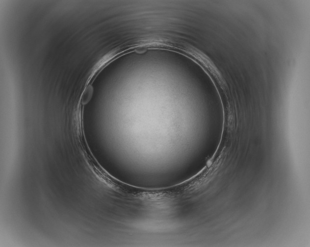 X0000113631242200909181510