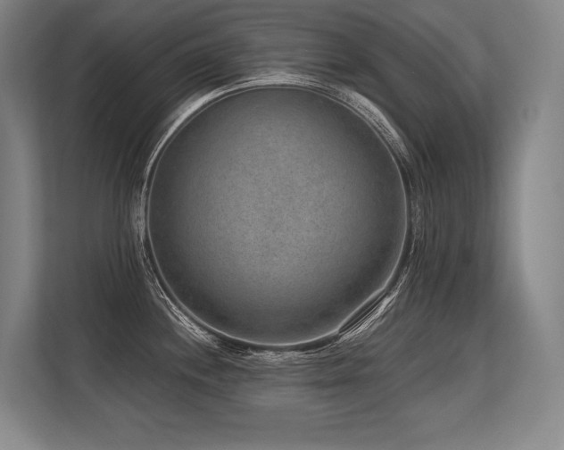 X0000113631244200909181510