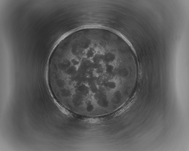 X0000113631245200909181510