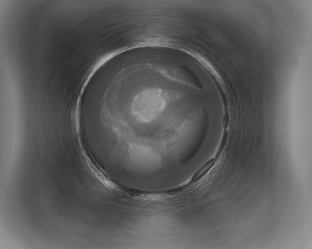 X0000113631246200909181510