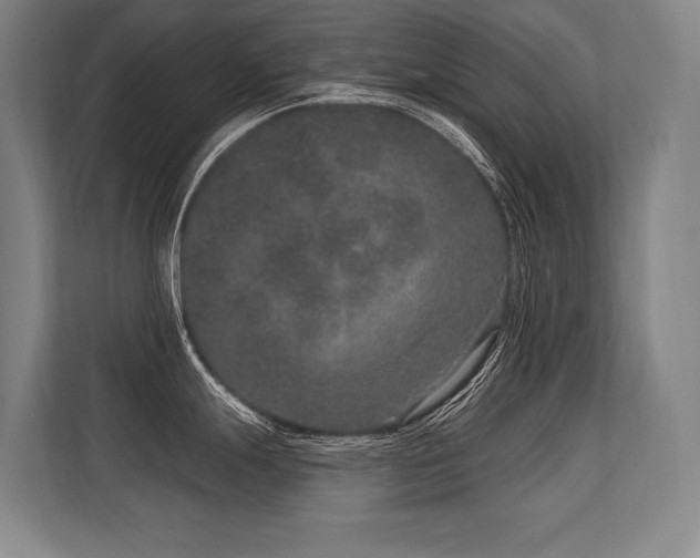 X0000113631247200909181510