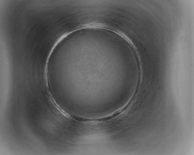 X0000113631248200909181510