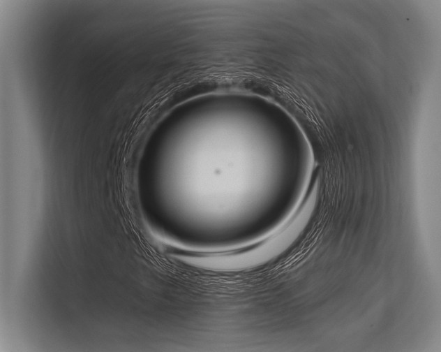 X0000113631249200909181510