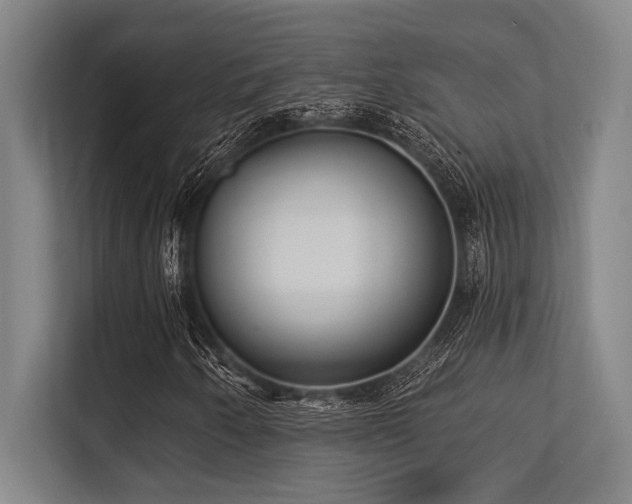 X0000113631250200909181510