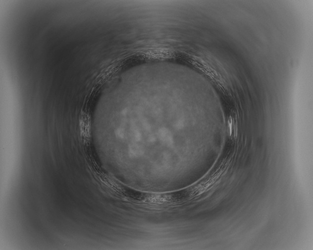 X0000113631251200909181509