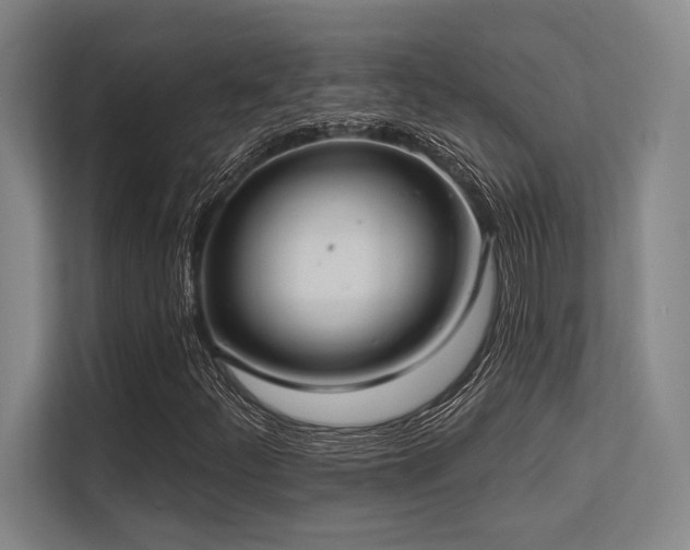 X0000113631252200909181509