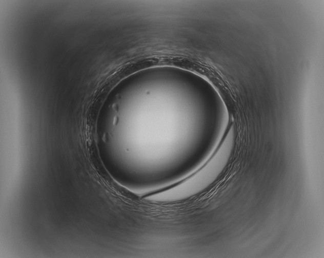 X0000113631253200909181509