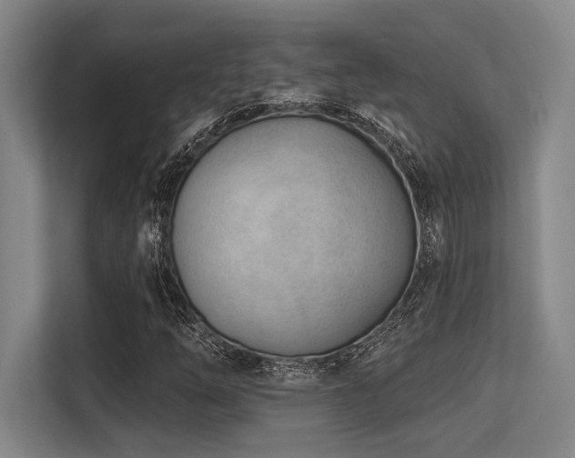 X0000113631254200909181509
