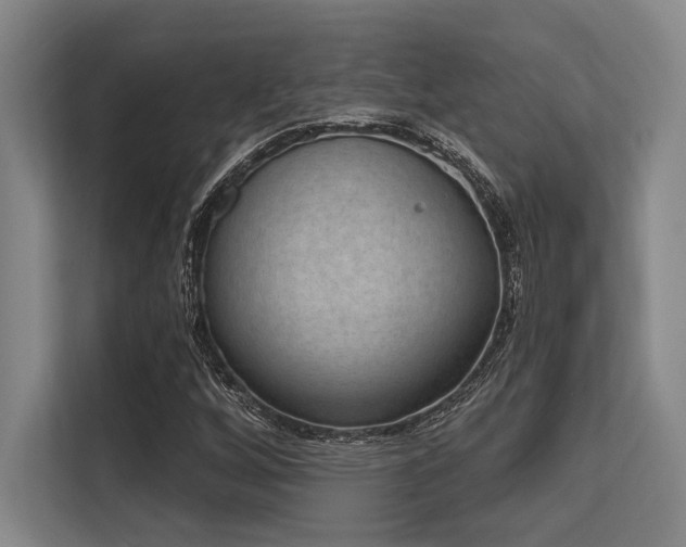 X0000113631256200909181509