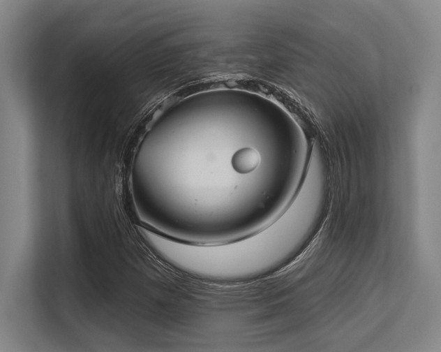 X0000113631257200909181509