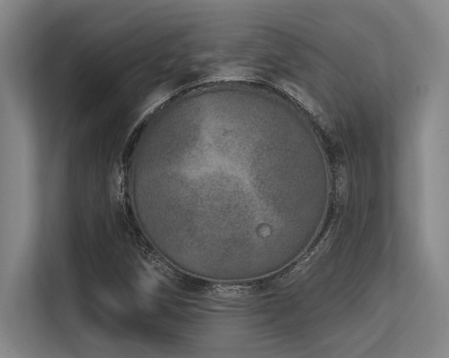 X0000113631258200909181509