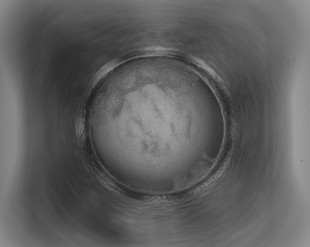 X0000113631259200909181509