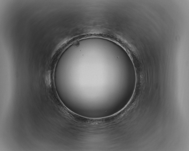 X0000113631262200909181509